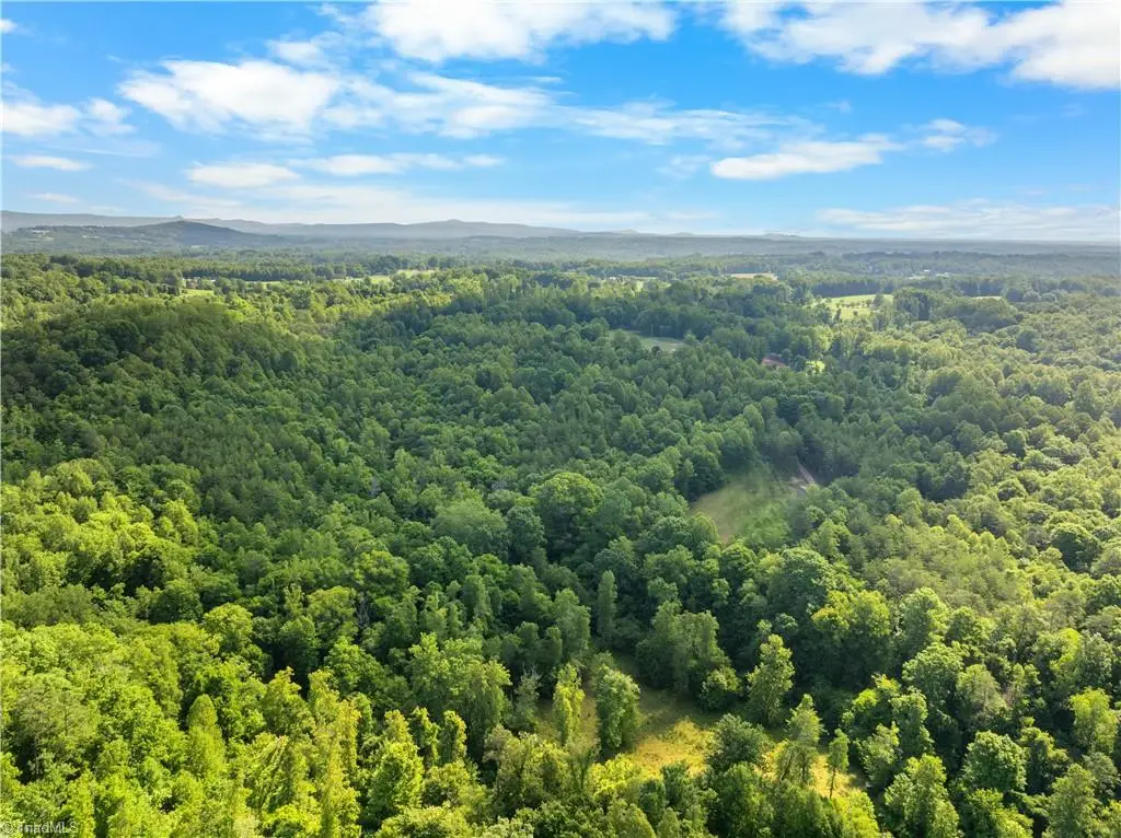 000 Echo Hollar Road, Westfield, NC 27053 - #1