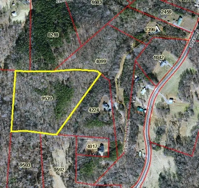 000 Echo Hollar Road, Westfield, NC 27053 - #3