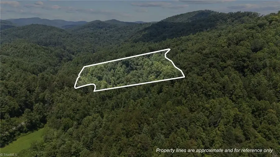 1296 Sheets Gap Road, Millers Creek, NC 28651 - #3
