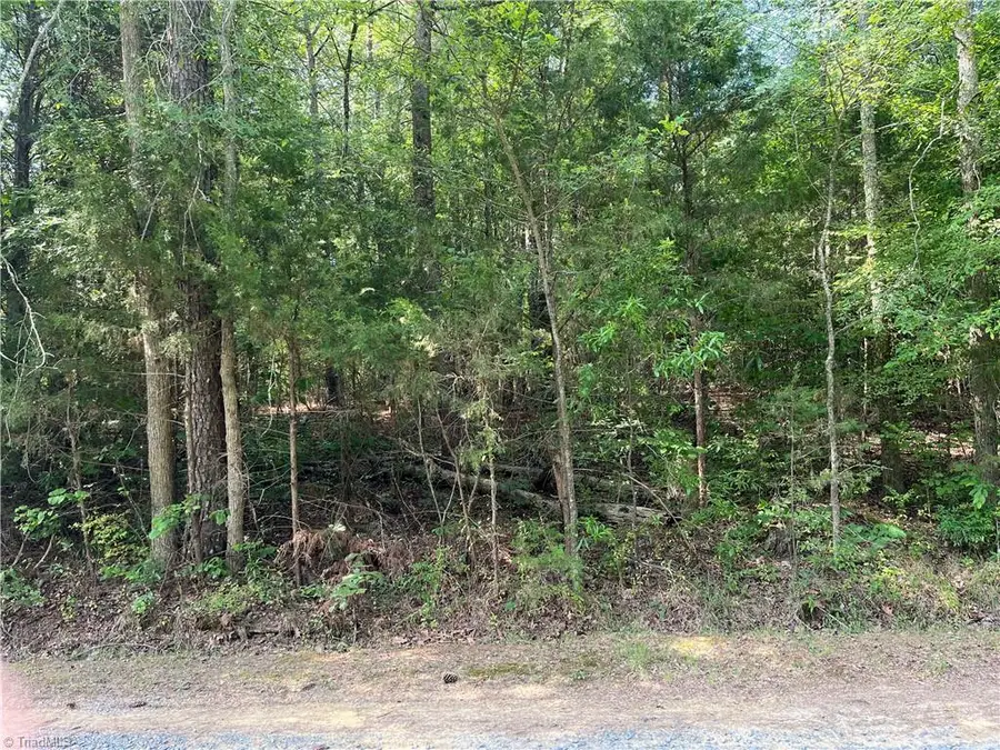 0 Silver Maple Road, Sophia, NC 27350 - #2