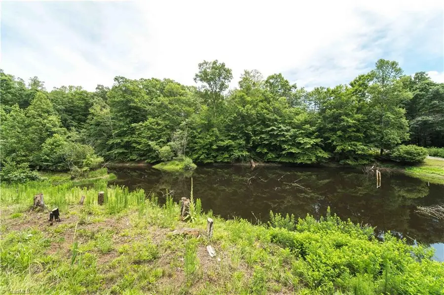 1068 Nathan Lane, Pinnacle, NC 27043 - #3
