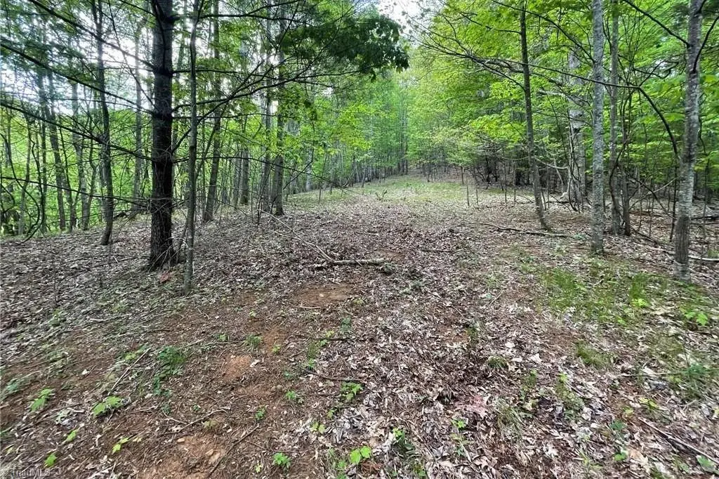 TBD Edwin Blevins Road, Jefferson, NC 28640 - #1