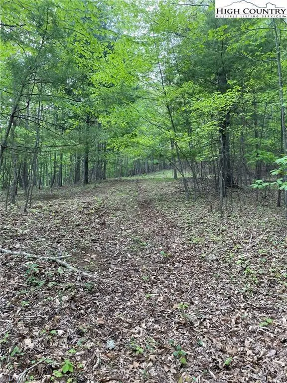 TBD Edwin Blevins Road, Jefferson, NC 28640 - #3