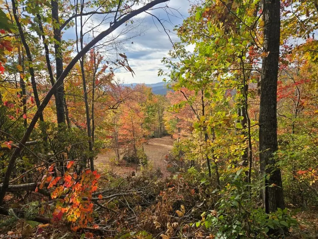 0 Shell Creek Road, Ferguson, NC 28624 - #1