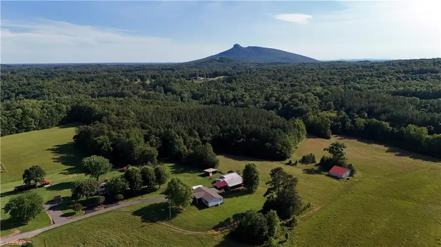 1075 Atkins Lane, Pinnacle, NC 27043 - #2