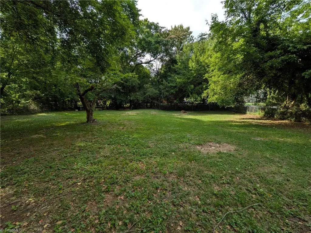 225 Mcbride Street, Graham, NC 27253 - #1