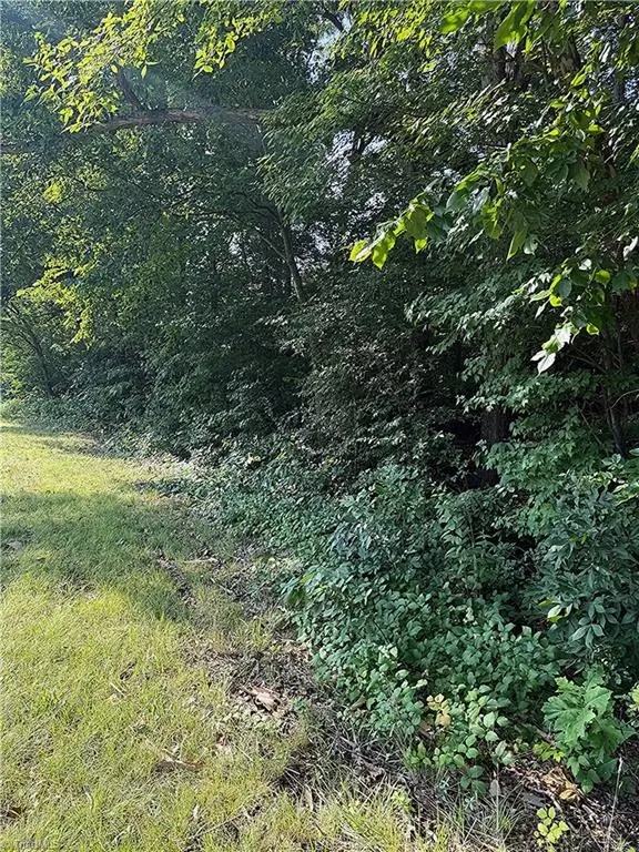 00 Us Highway 64 W, Trinity, NC 27370 - #2