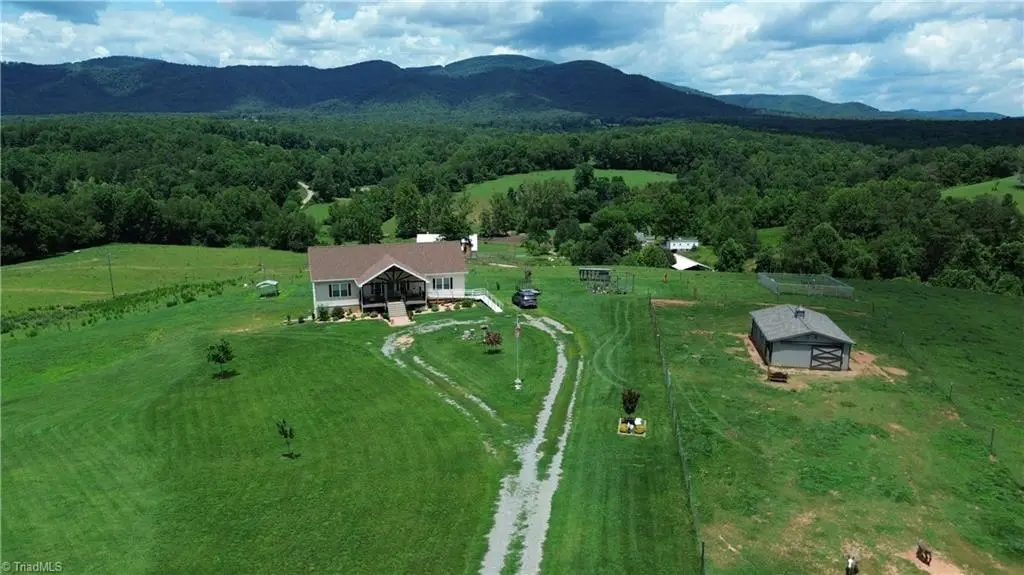 310 Triple Creek Drive, Traphill, NC 28685 - #1
