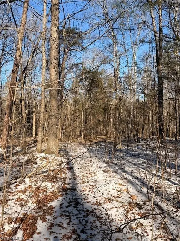 00 Stokes Ferry Road, Gold Hill, NC 28071 - #3