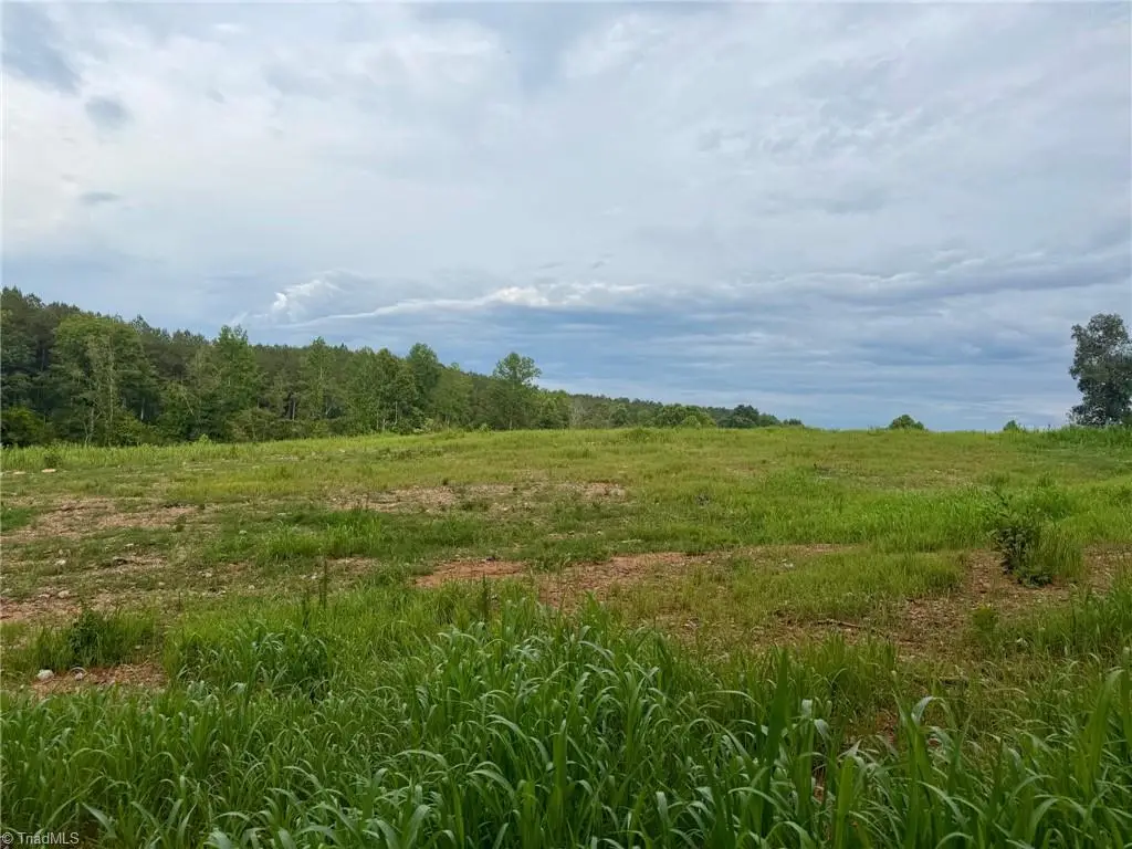 1000 Tarry Church Road, Star, NC 27356 - #1