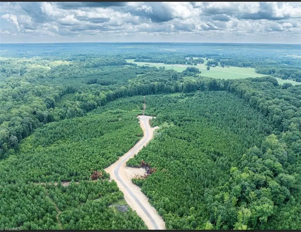 585 Briar Ridge Lane Extension, Yanceyville, NC 27379 - #1