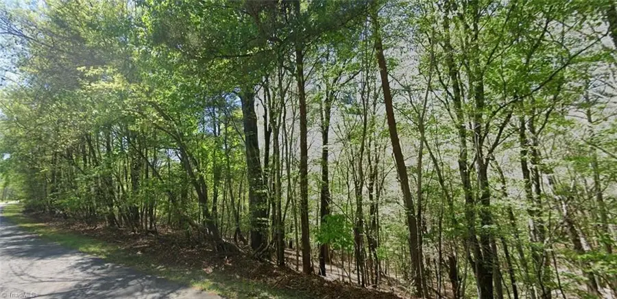 0 Ridge Lane, Wilkesboro, NC 28697 - #2