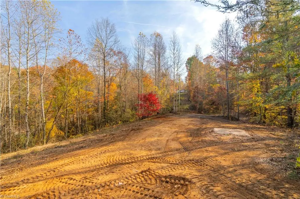 1165 Dehart Community Ctr Road, Hays, NC 28635 - #1