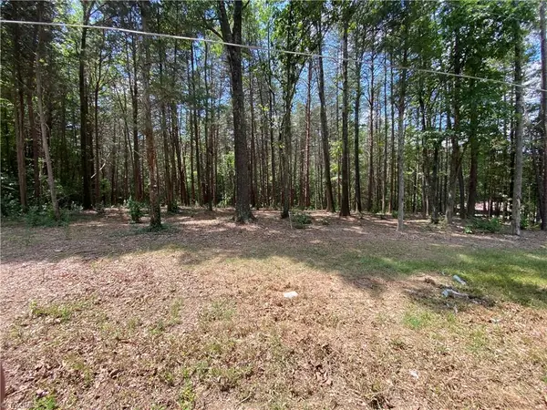 00 Oak Street, Ramseur, NC 27316