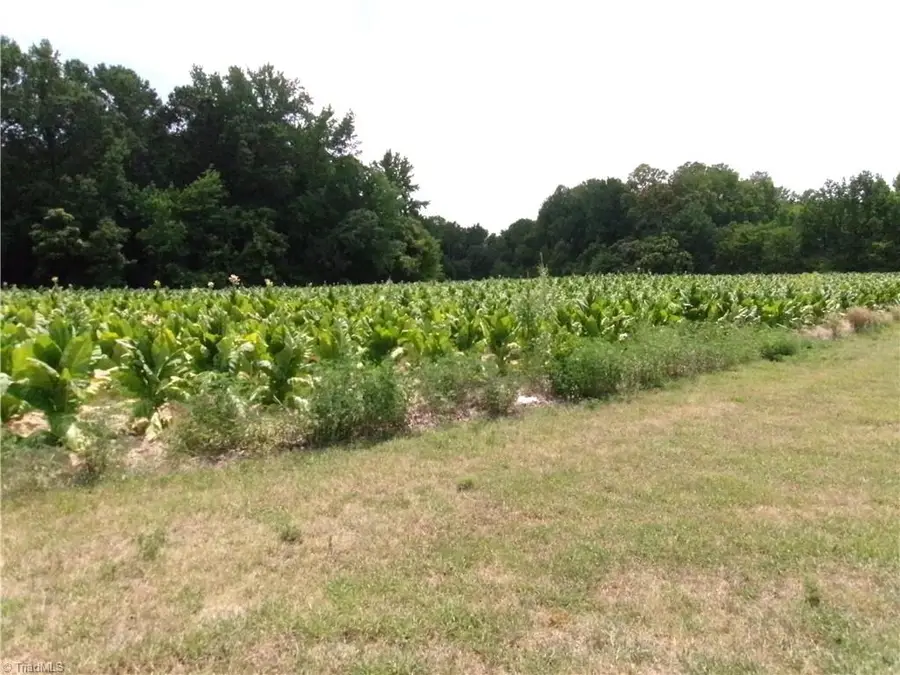 1706 Mount Hope Church Road, McLeansville, NC 27301 - #2