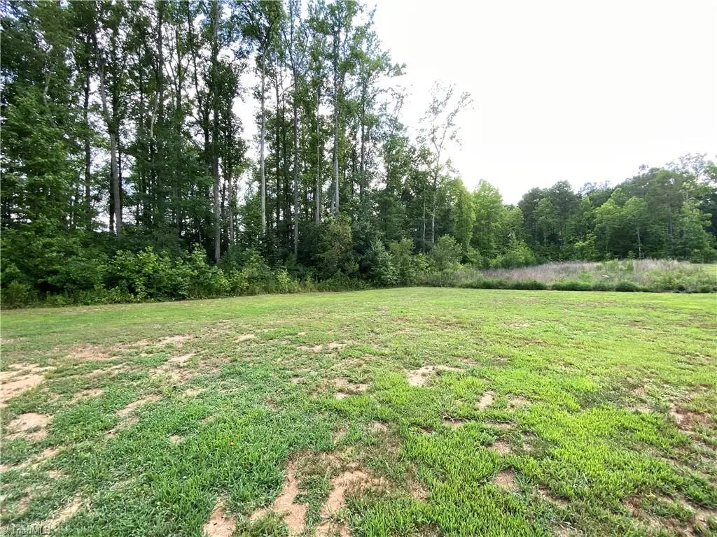 4766 Denton Road, Thomasville, NC 27360 - #1