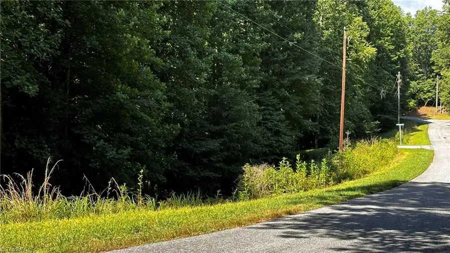 00C Higgins Road, Wilkesboro, NC 28697 - #3