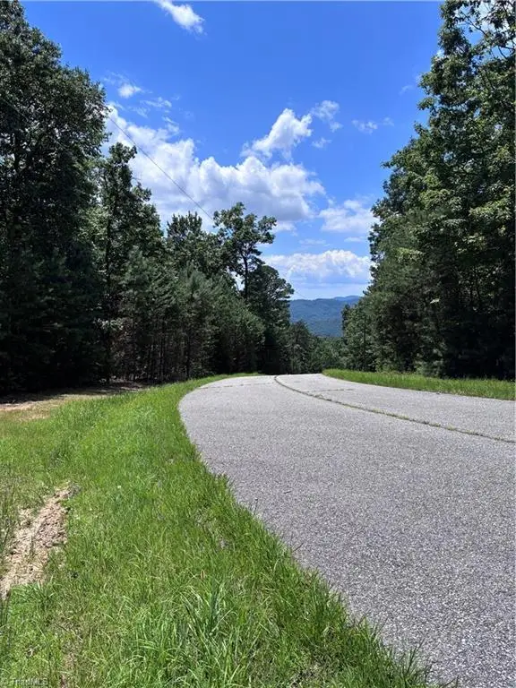 00 Breakaway Drive, McGrady, NC 28649 - #3
