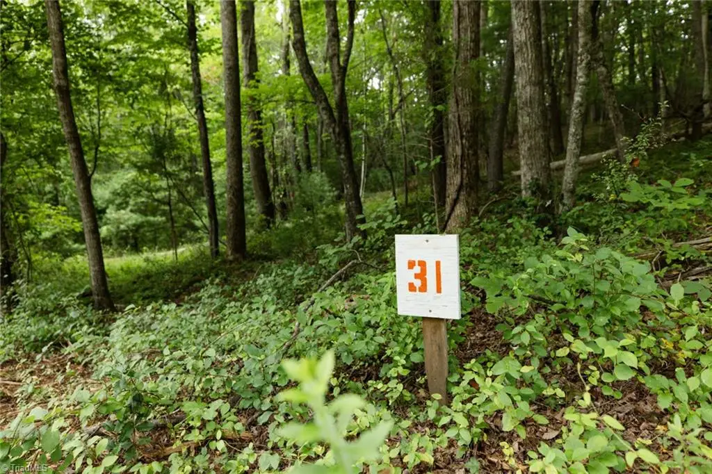 TBD Mcintosh Drive, Lowgap, NC 27024 - #1