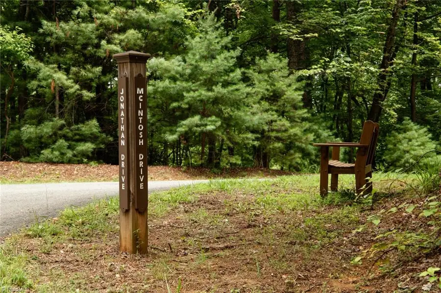 TBD Mcintosh Drive, Lowgap, NC 27024 - #2