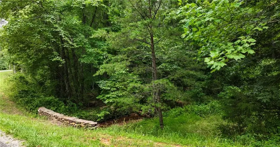 TBD Mcintosh Drive, Lowgap, NC 27024 - #3