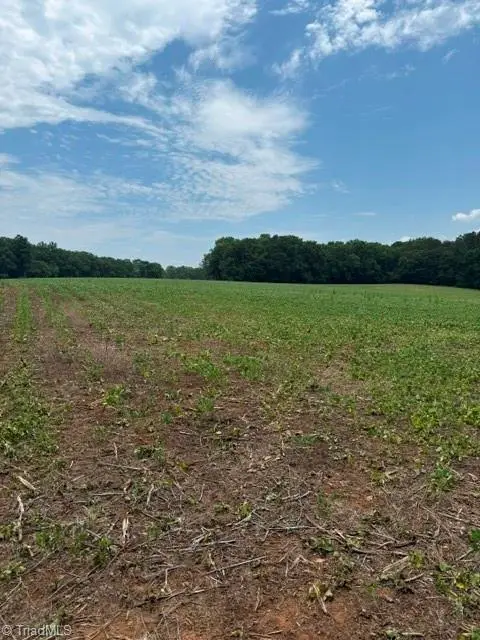 0 Friendship Circle Road, East Bend, NC 27018 - #2