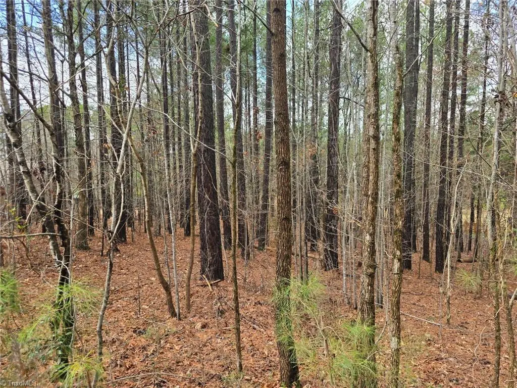 225 Cove Wood Drive, Denton, NC 27239 - #1