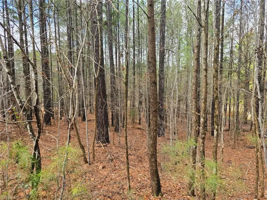 225 Cove Wood Drive, Denton, NC 27239 - #2