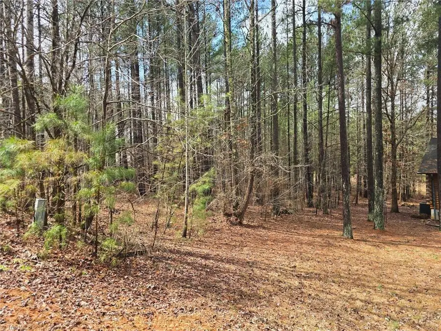 225 Cove Wood Drive, Denton, NC 27239 - #3