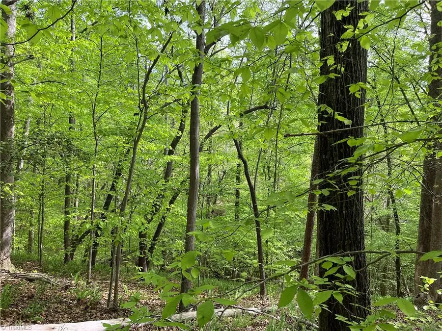 0 Sheets Trail, Germanton, NC 27019 - #3