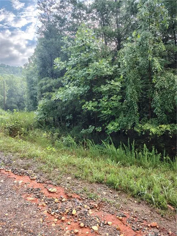 00 Moonview, Cana, VA 24317 - #1