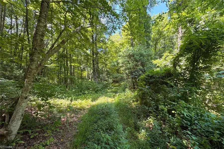 363 Good Hope Lane, Thurmond, NC 28683 - #2
