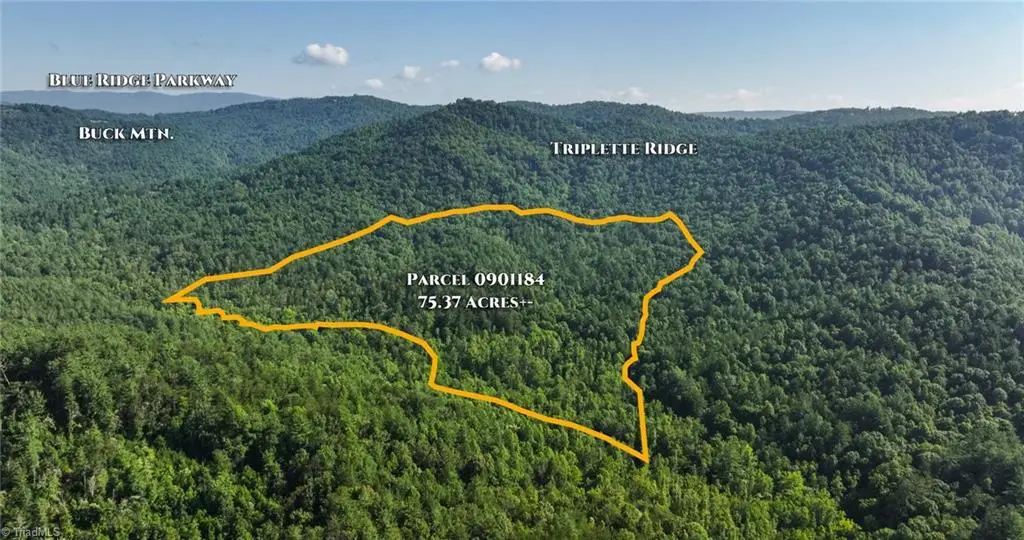 0000 Boone Trail, Purlear, NC 28665 - #1