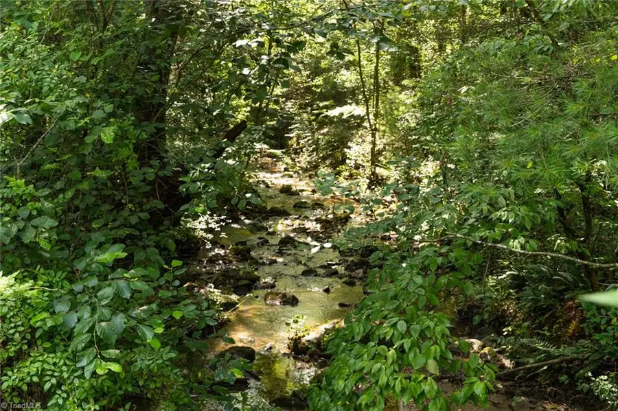 0000 Boone Trail, Purlear, NC 28665 - #2