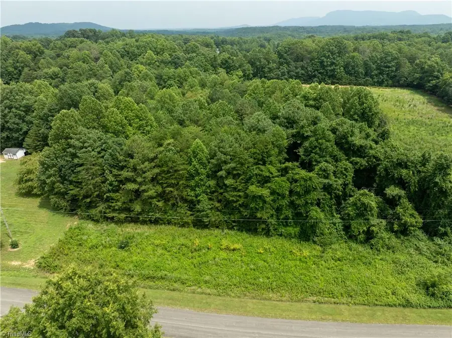 0 J P Lynch Road, Pilot Mountain, NC 27041 - #3