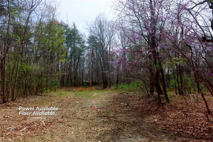 0 Johnson Farm Road #1, Pilot Mountain, NC 27041 - #3