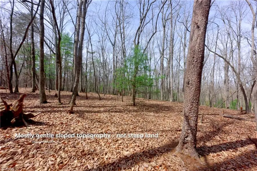 0 Johnson Farm Road #2, Pilot Mountain, NC 27041 - #3