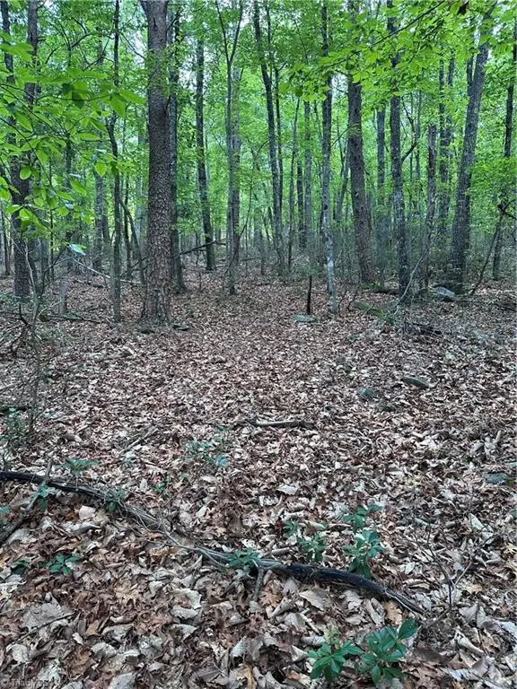 1070 Elm Street, Danbury, NC 27016 - #1