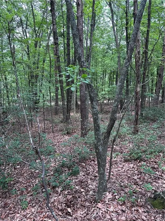 1070 Elm Street, Danbury, NC 27016 - #2
