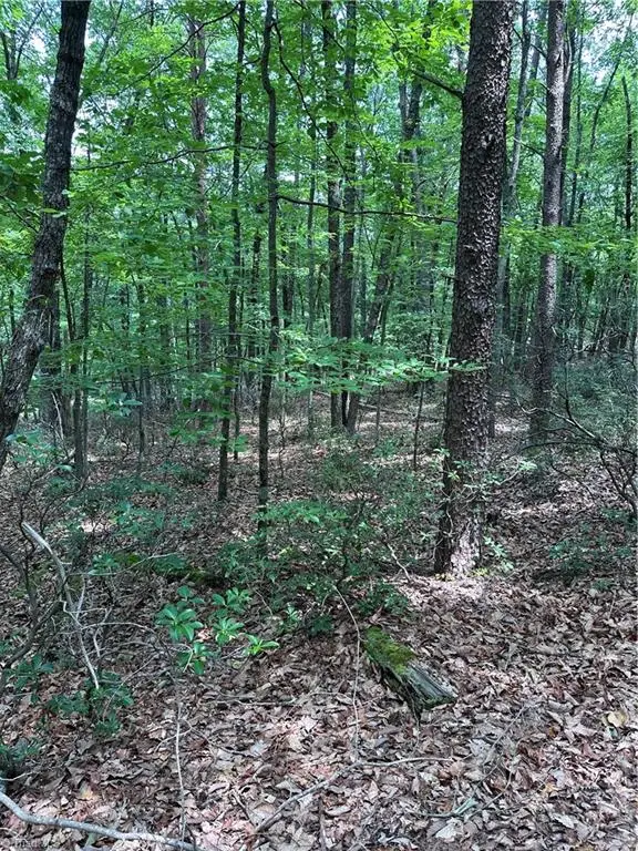 1070 Elm Street, Danbury, NC 27016 - #3