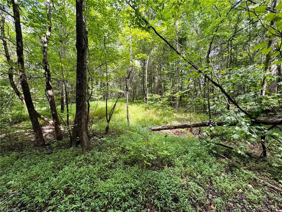 Lot 2 Cypress Drive, Reidsville, NC 27320 - #2