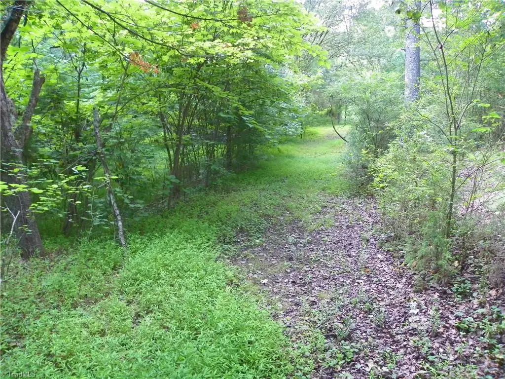 00 Rowe Road, Lexington, NC 27295 - #1