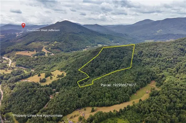 0 Tom Pless Road, Warrensville, NC 28693