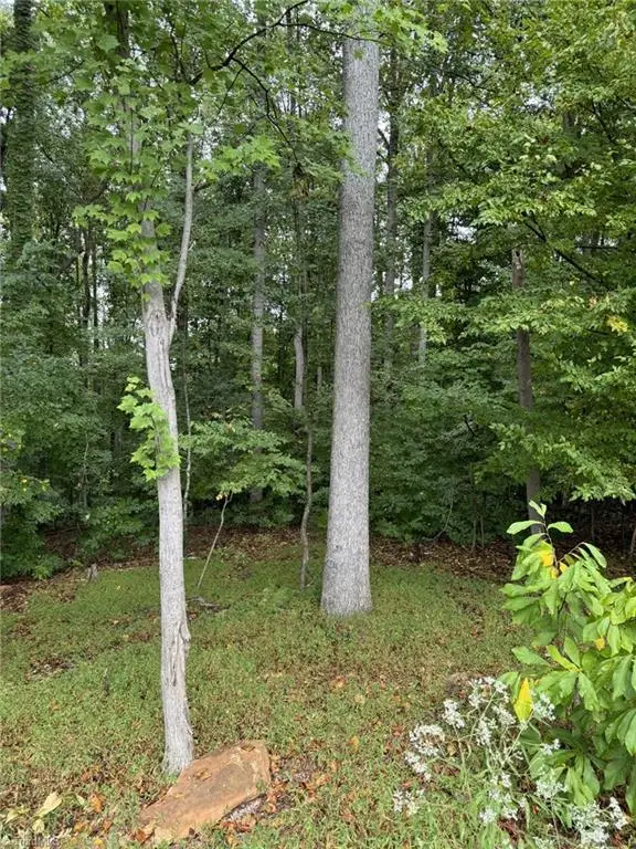721 Surrey Path Trail, Winston Salem, NC 27104 - #2