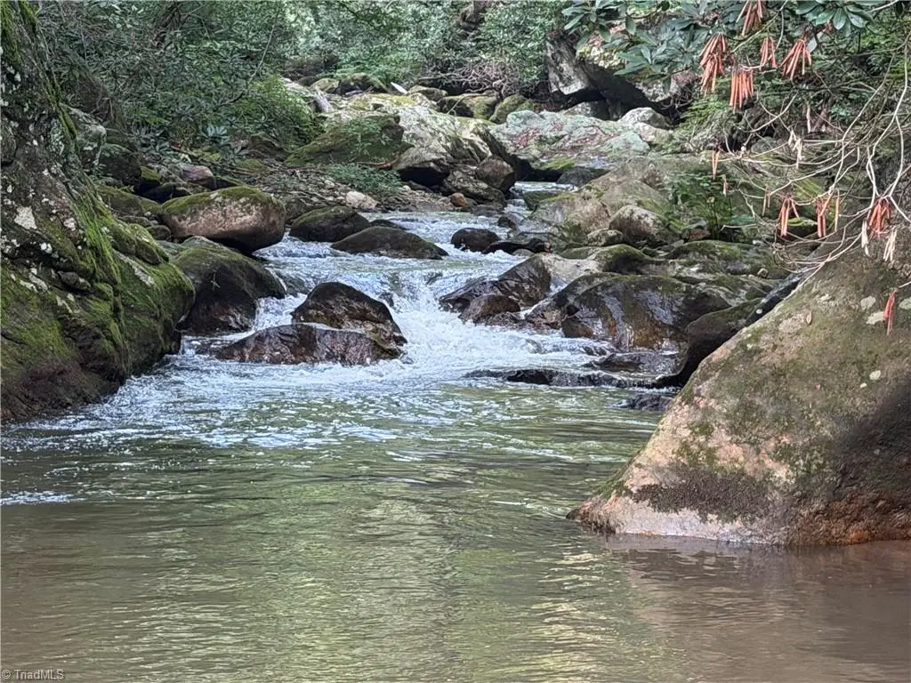 0000 N Old Nc Highway 16, Millers Creek, NC 28651 - #1