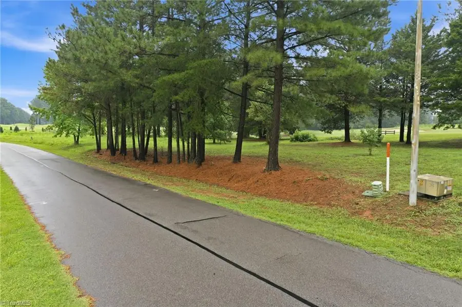 0 Oak Tree Drive, Blanch, NC 27212 - #3