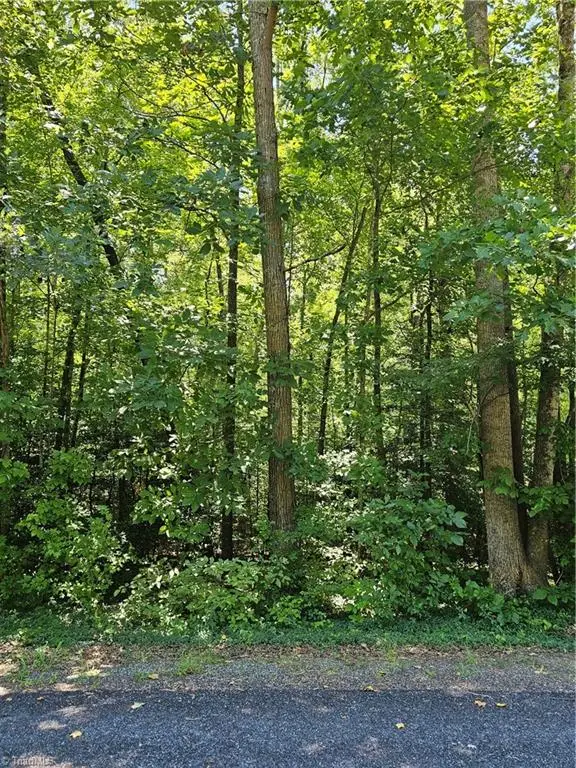 Lot 408 Pine Road, Lexington, NC 27292 - #1