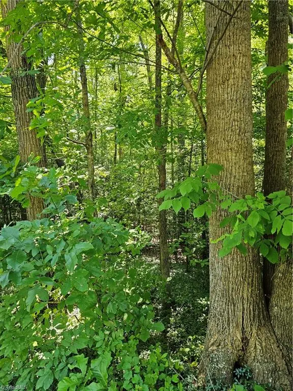 Lot 408 Pine Road, Lexington, NC 27292 - #3