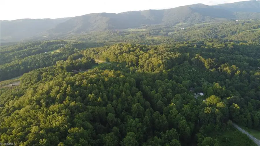 4749 Wards Gap Road, Cana, VA 24317 - #3