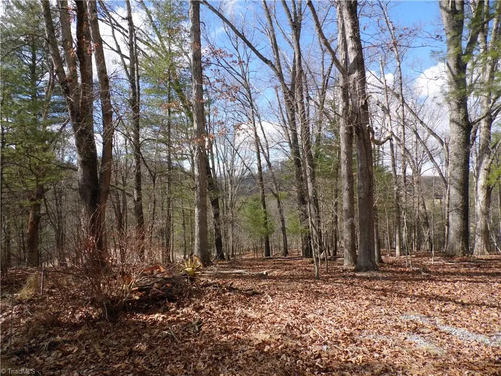 TBD Happy Woods Road, Piney Creek, NC 28631 - #1